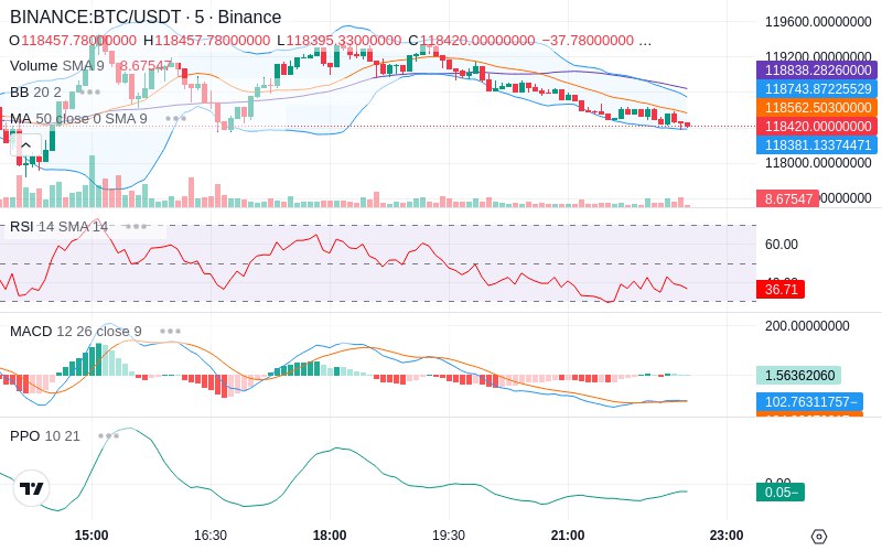 Rent this Ad Spot✨