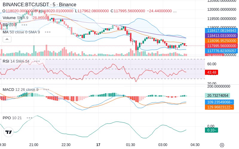 🚀 $TOMI SuperApp early access!