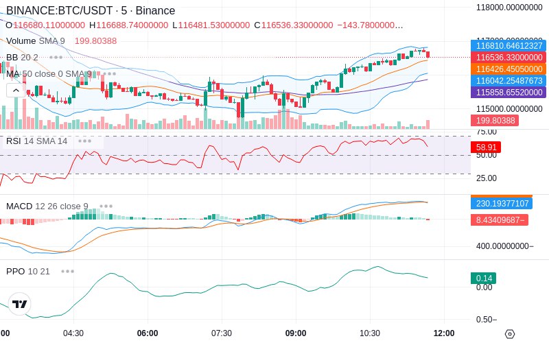 Leverage Your Profits🚀