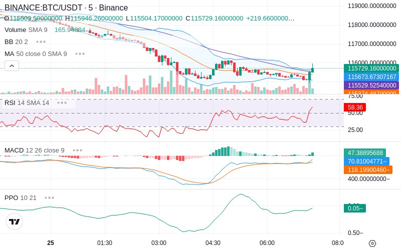 Leverage Your Profits🚀