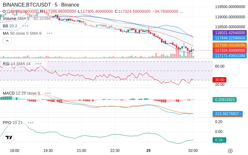 Rent this Ad Spot✨