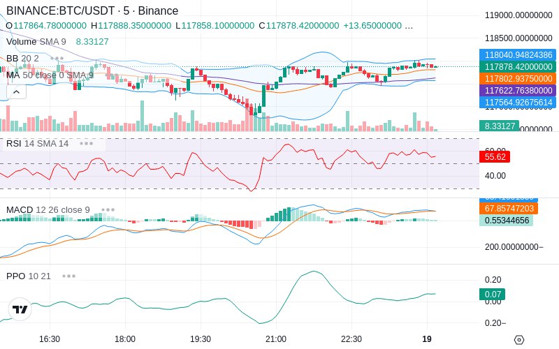 🚀 $TOMI SuperApp early access!