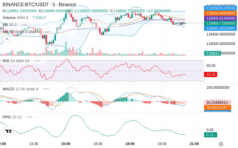 Rent this Ad Spot✨