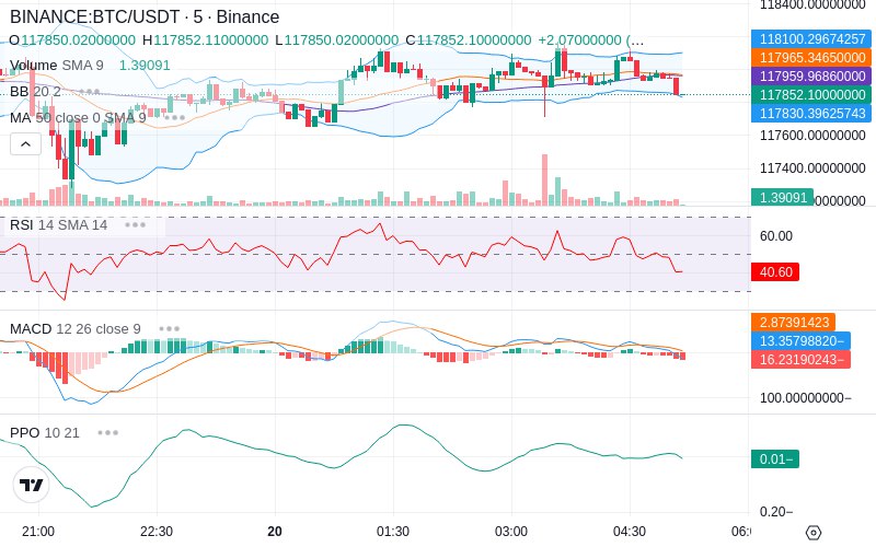 🚀 $TOMI SuperApp early access!