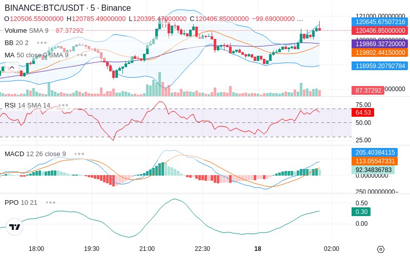 🚀 $TOMI SuperApp early access!