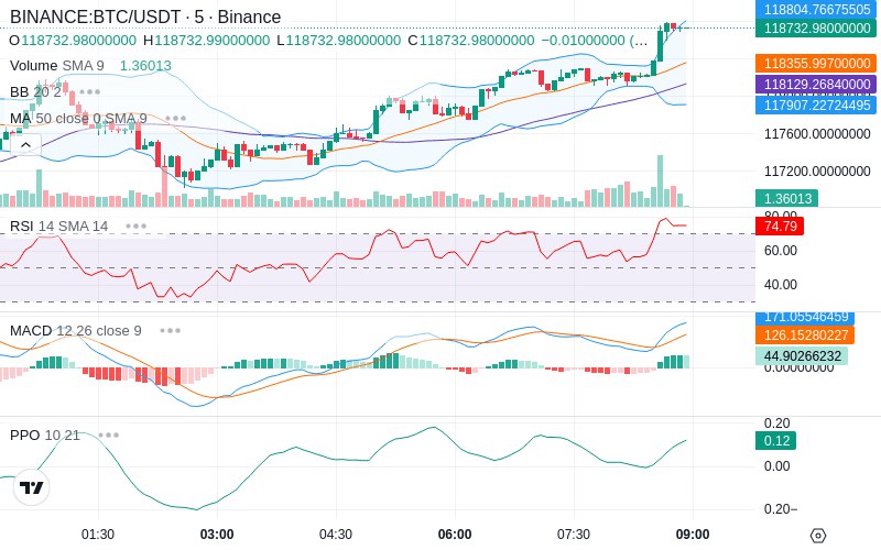 🚀 $TOMI SuperApp early access!