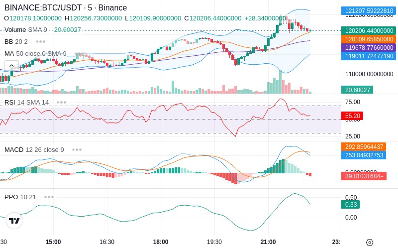 🚀 $TOMI SuperApp early access!