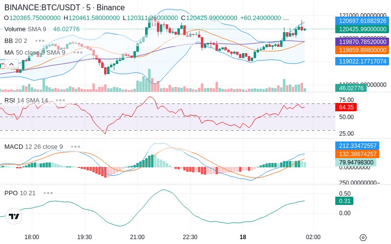 🚀 $TOMI SuperApp early access!