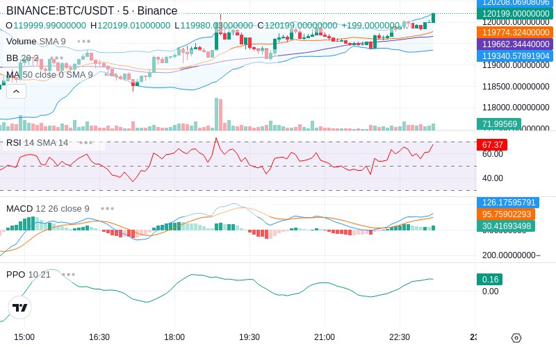 🚀 $TOMI SuperApp early access!