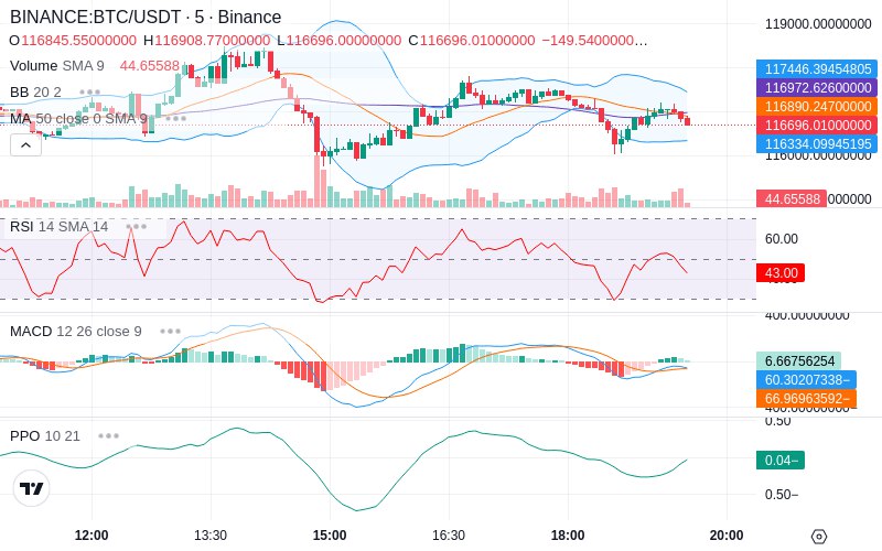 🚀 $TOMI SuperApp early access!