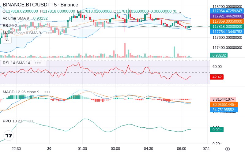 🚀 $TOMI SuperApp early access!