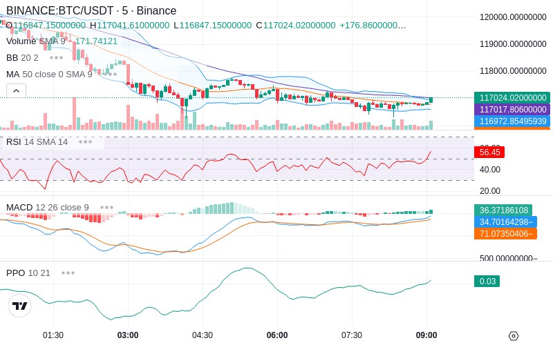🚀 $TOMI SuperApp early access!