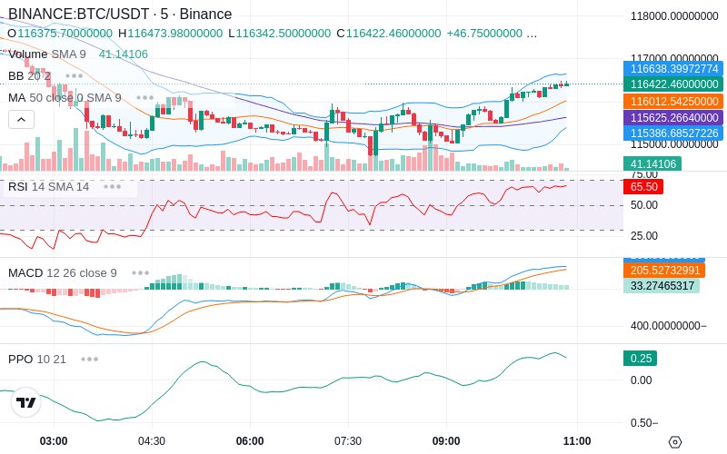 Rent this Ad Spot✨