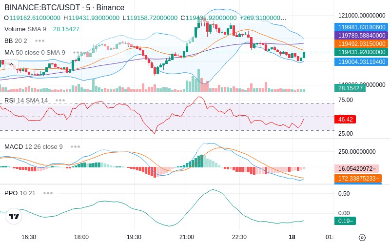 🚀 $TOMI SuperApp early access!