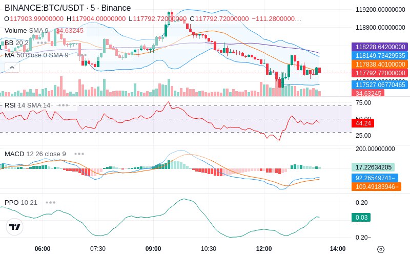 🚀 $TOMI SuperApp early access!