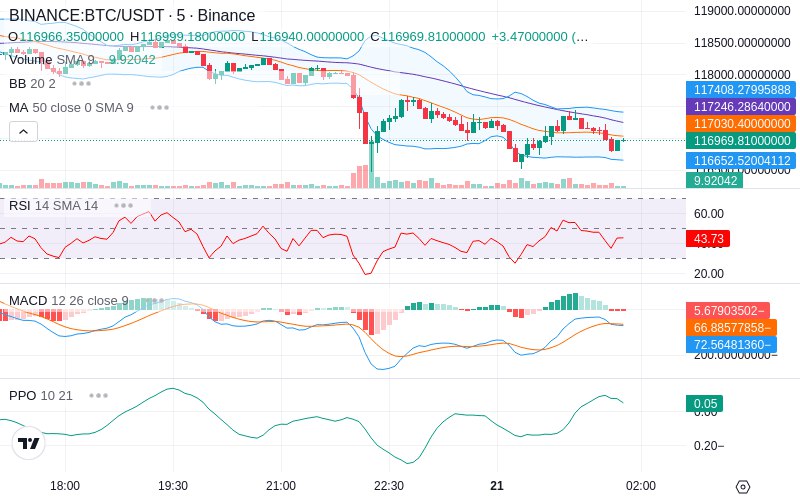 🚀 $TOMI SuperApp early access!