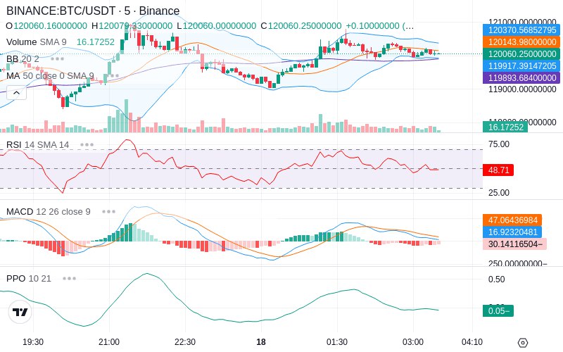 🚀 $TOMI SuperApp early access!