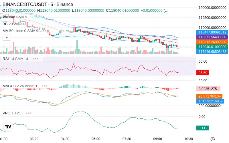 🚀 $TOMI SuperApp early access!