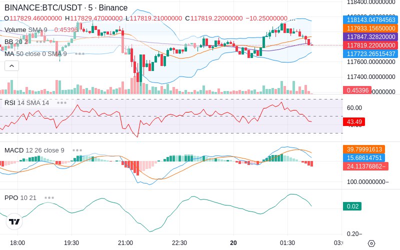 🚀 $TOMI SuperApp early access!