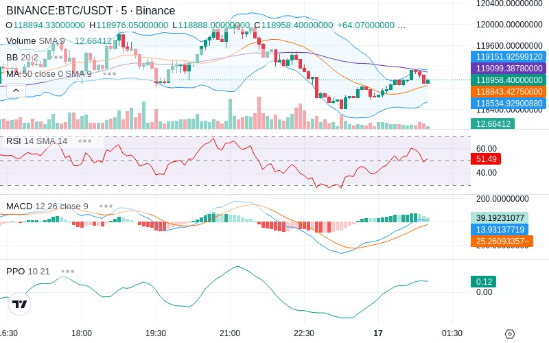 🚀 $TOMI SuperApp early access!