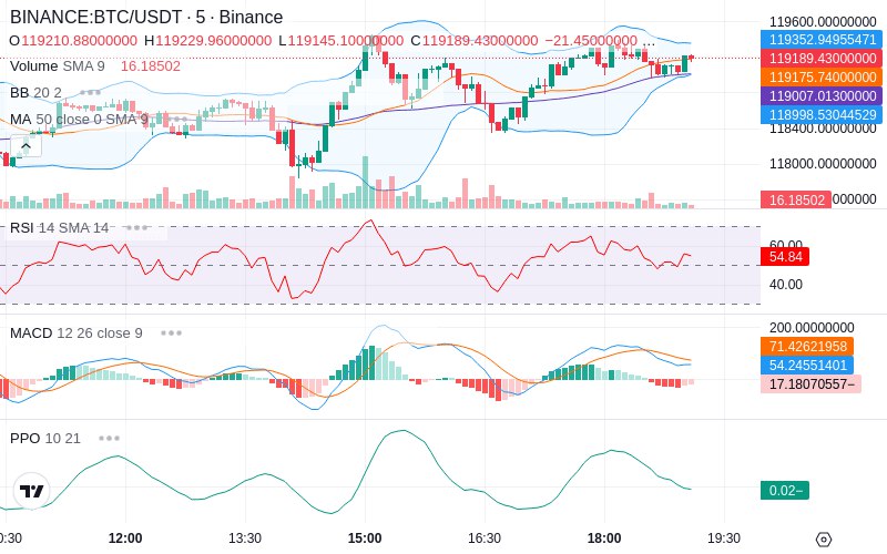 Leverage Your Profits🚀