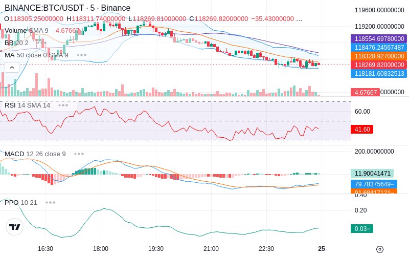 Rent this Ad Spot✨