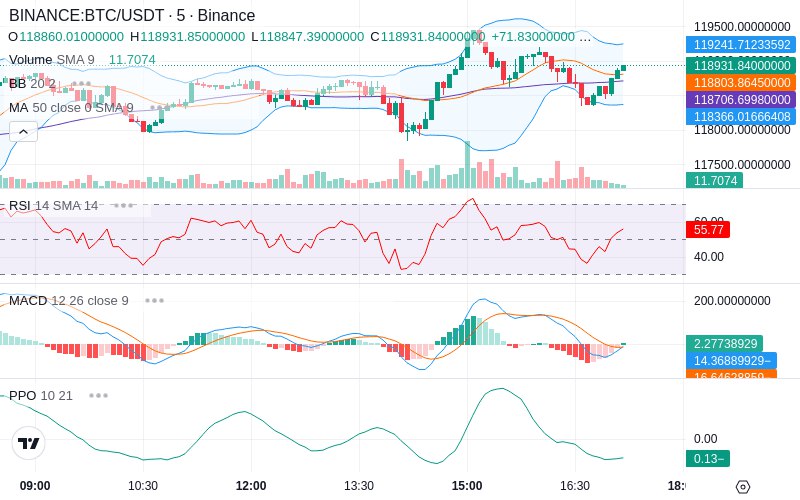Leverage Your Profits🚀