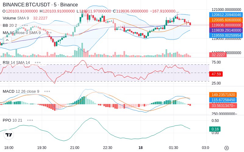 🚀 $TOMI SuperApp early access!