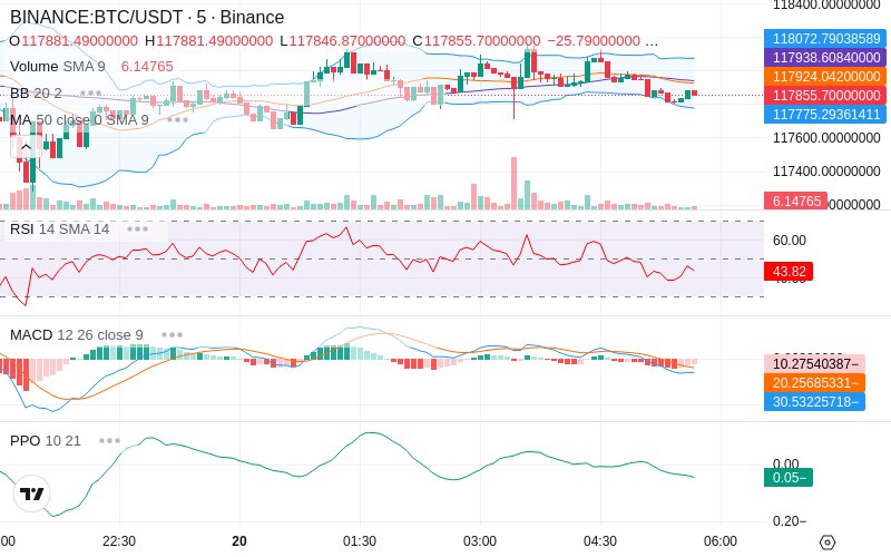 🚀 $TOMI SuperApp early access!