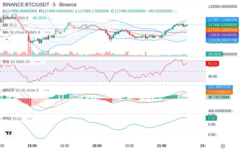 🚀 $TOMI SuperApp early access!