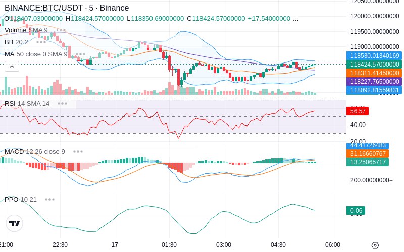 🚀 $TOMI SuperApp early access!
