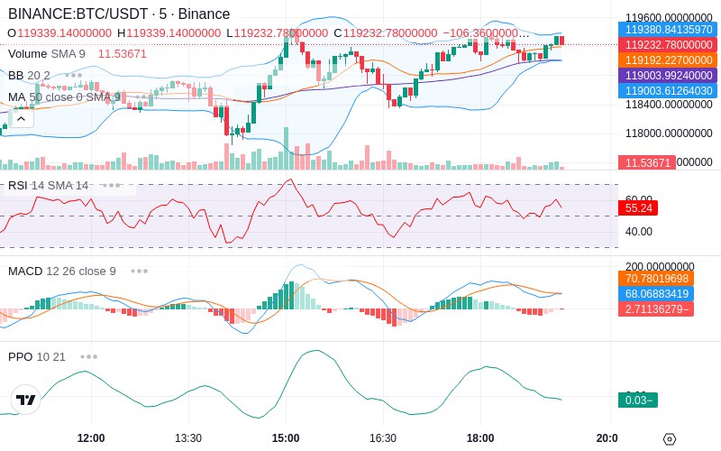 Rent this Ad Spot✨