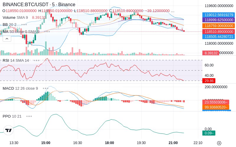 Rent this Ad Spot✨