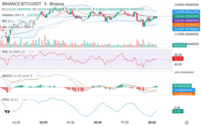 🚀 $TOMI SuperApp early access!
