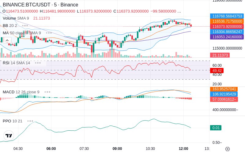 Leverage Your Profits🚀