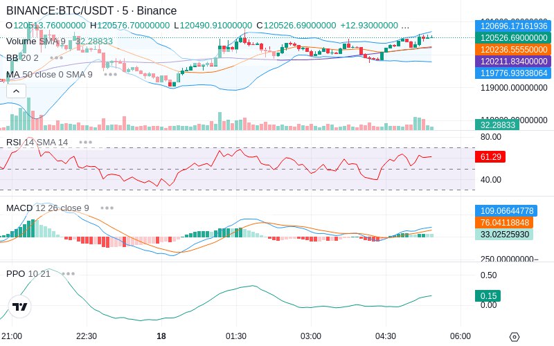 🚀 $TOMI SuperApp early access!